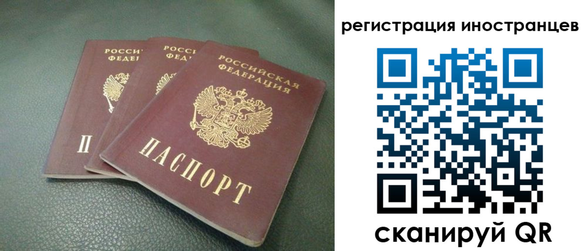 прописка от собственника в Елизово